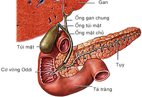 soi-mat-3