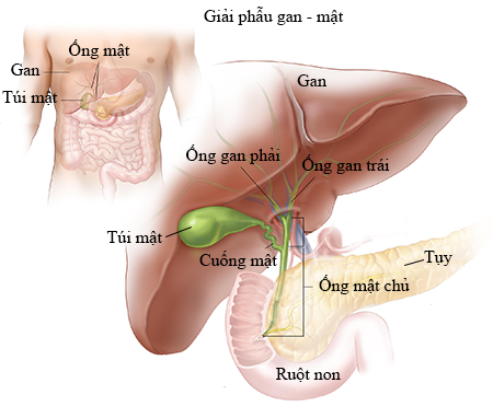 soi-tui-mat-1