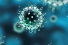 Cúm mùa: Những thông tin cần biết nhằm ngăn chặn dịch bệnh